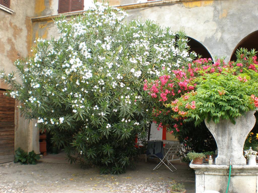 Corte Dall'Era Bed and Breakfast Brescia Exterior foto